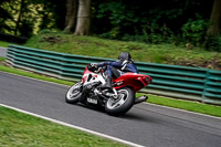 cadwell-no-limits-trackday;cadwell-park;cadwell-park-photographs;cadwell-trackday-photographs;enduro-digital-images;event-digital-images;eventdigitalimages;no-limits-trackdays;peter-wileman-photography;racing-digital-images;trackday-digital-images;trackday-photos